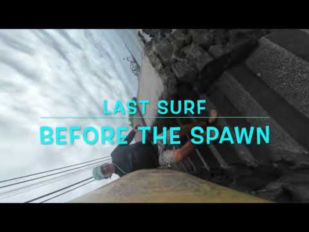 Last Surf Before The Spawn