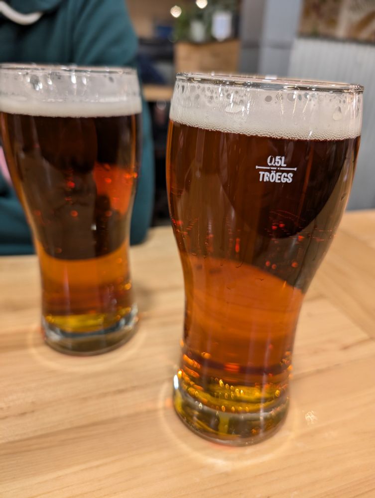 Two generously sized half litre pours of Tröegs Nugget Nectar sit on the tabletop for my friend and me. 