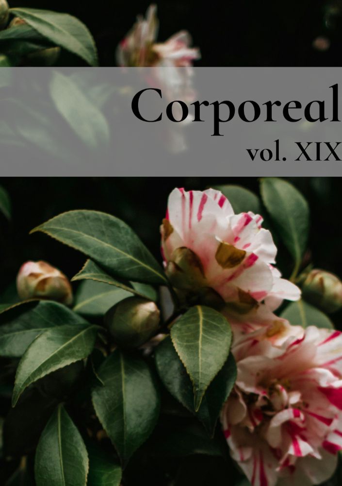 Corporeal vol XIX appears against a background of large white and red flowers surrounded by green foliage
