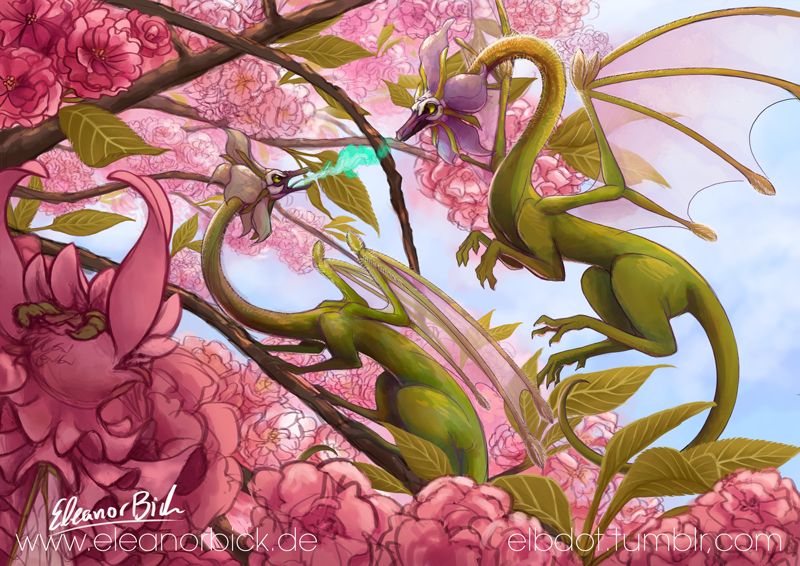 Two borage-dragons land in a blooming japanese cherry tree. The female on the left is breathing green flames to keep a distance between her and the more vibrantly colored male to the right approaching her. A clover dragon is in the front left corner watching them.