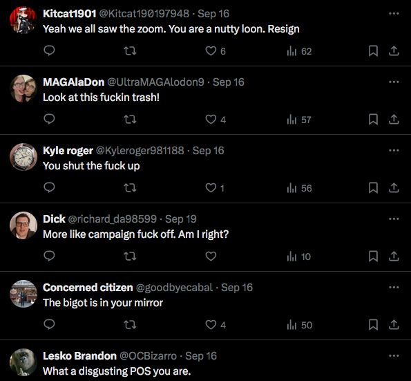 A sample screen of several of LOTT's followers in Jules Walters' twitter replies calling her things like trash and nutty loon.