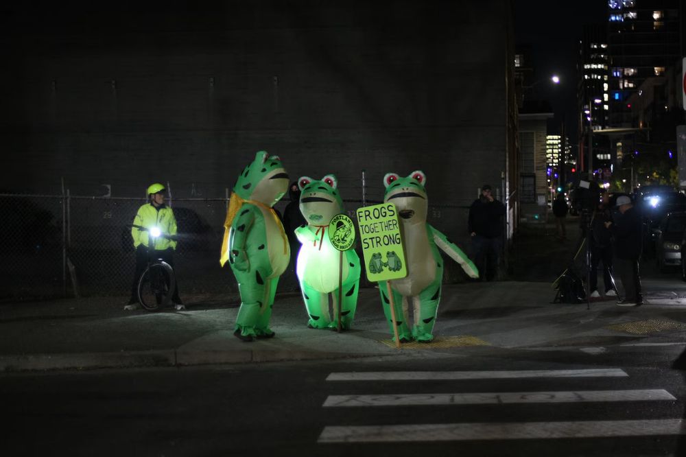 People protesting fascist in frog costumes in Portland, Oregon 