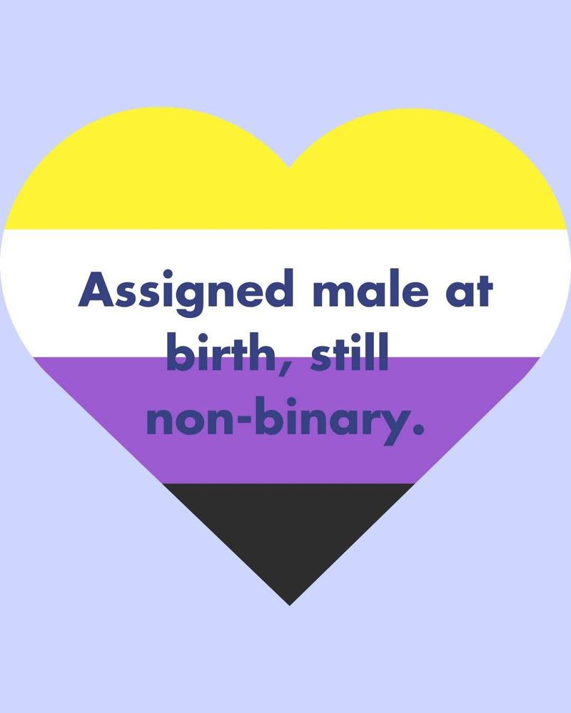 A nonbinary heart flag that says assigned male at birth, still non-binary. 