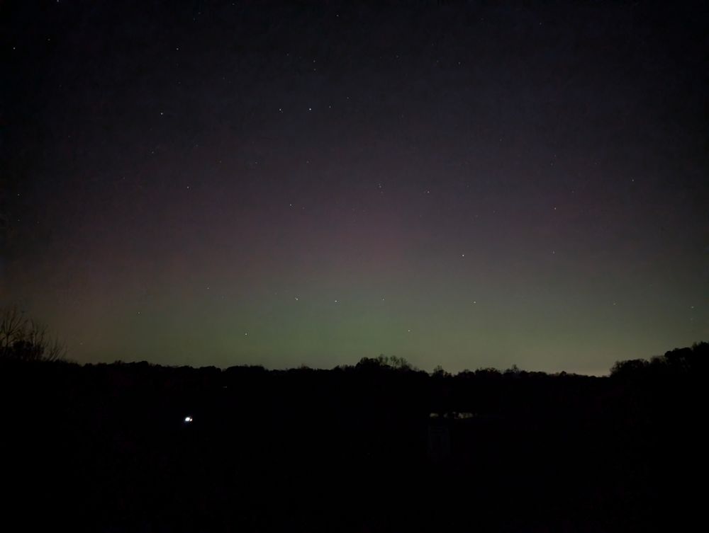 Black line of trees with green and red glowing sky above.