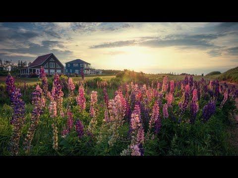 Why PEI Is a Must-Visit Canadian Destination