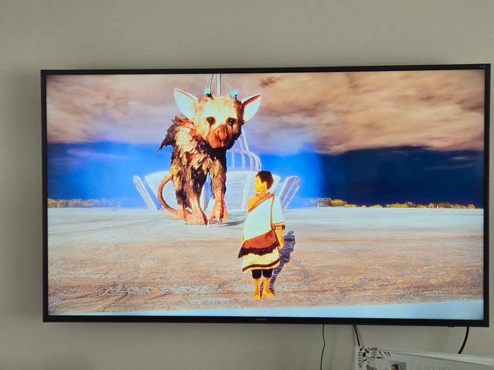 Towards the end of The Last Guardian.