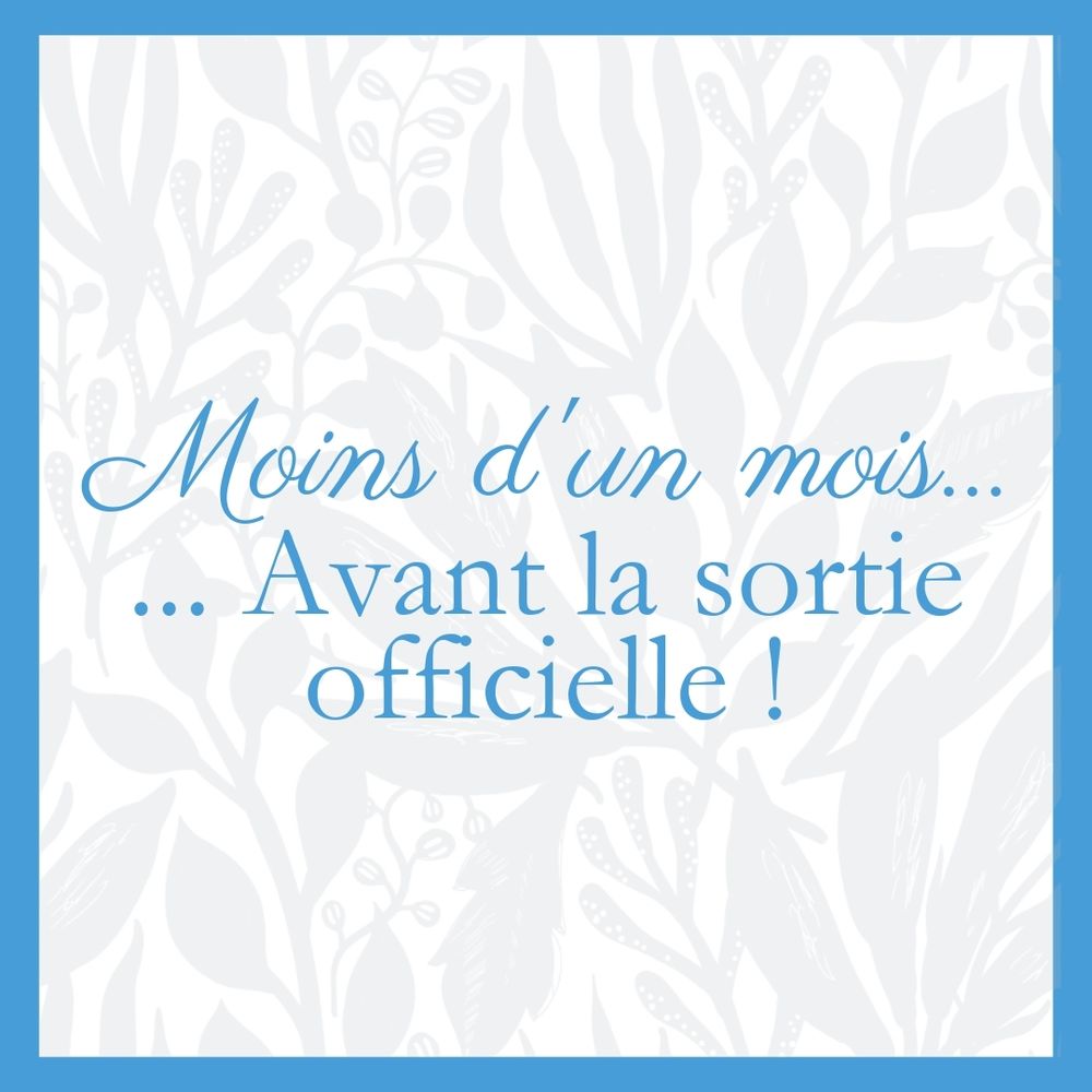 Visuel bleu, blanc, gris avec la phrase : « Moins d'un moins avant la sortie officielle ! »