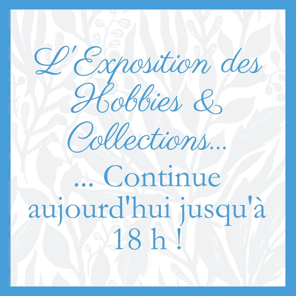 Visuel avec la phrase : « L'Exposition des Hobbies & Collections continue aujourd'hui jusqu'à 18 h ! »