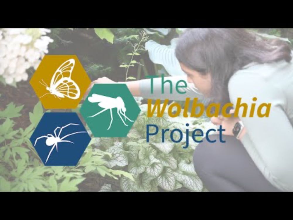 Discover the Microbes Within! The Wolbachia Project