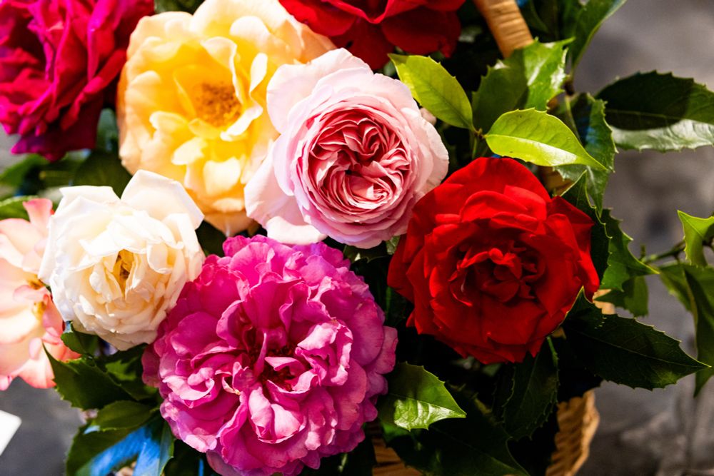 A bouquet of flowers at a flower show. 