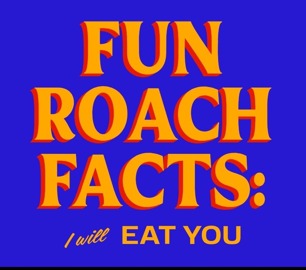 An edited version of the Zohran for New York poster but it says: FUN ROACH FACTS: I will EAT YOU