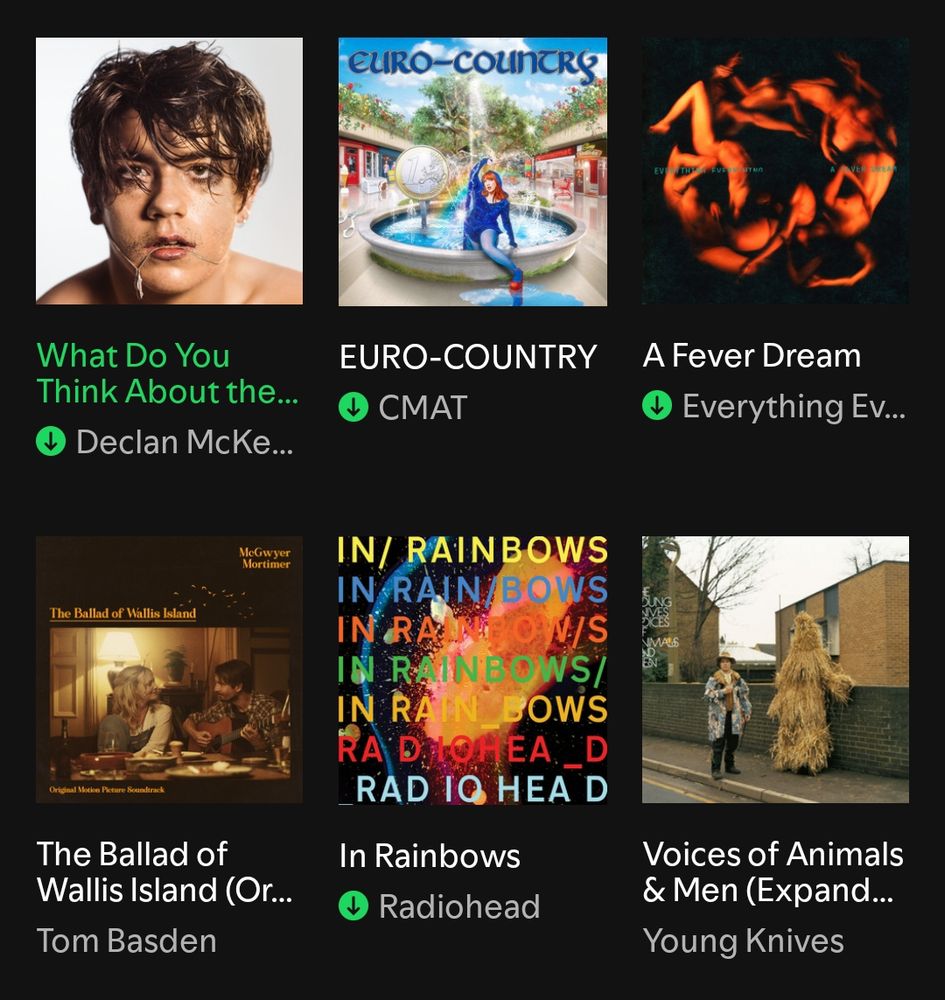 what do you think about the car? - declan mckenna
euro-country - cmat
a fever dream - everything everything
the ballad of wallis island (original soundtrack) - tom basden, carey mulligan
in rainbows - radiohead
voices of animals & men - young knives
