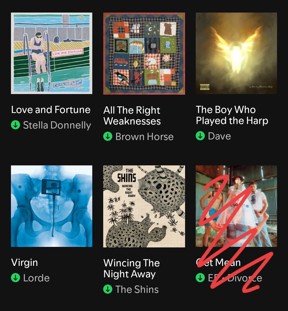 love and fortune - stella donnelly
all the right weaknesses - brown horse
the boy who played the harp - dave
virgin - lorde
wincing the night away - the shins