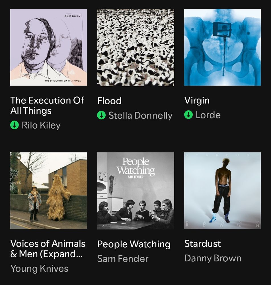 the execution of all things - rilo kiley
flood - stella donnelly
virgin - lorde
voices of animals and men - young knives
people watching - sam fender
stardust - danny brown