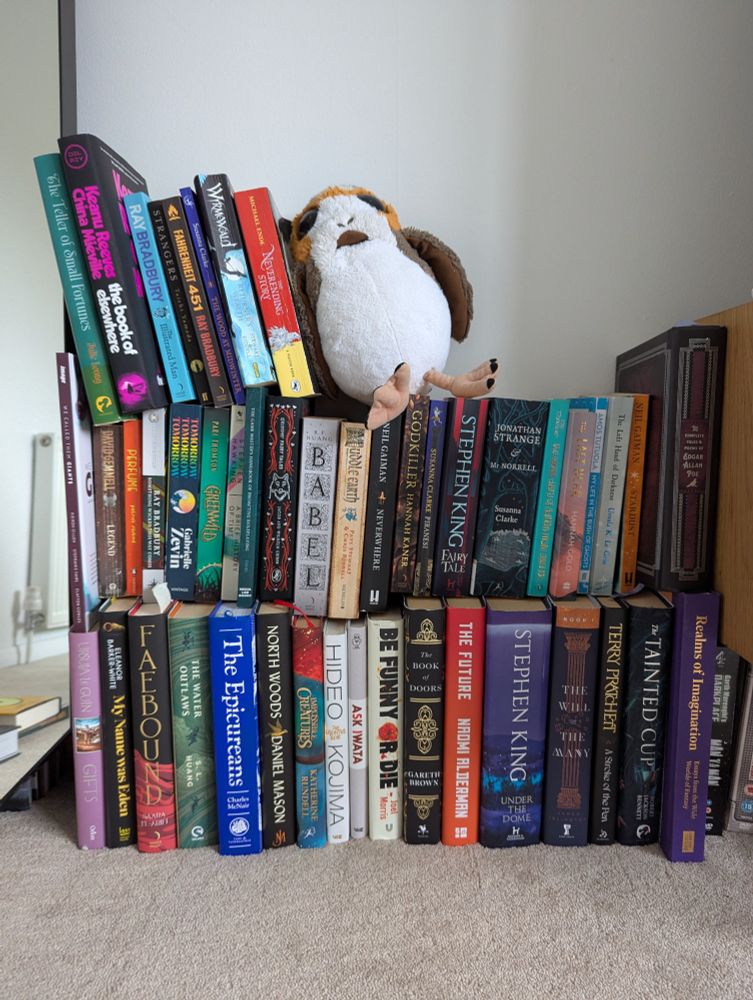 A stack of all the books George has read this year, with a stuffed Porg sitting on top of them. The books are arranged clumsily on the floor, heavily implying that George needs to sort some proper shelves.