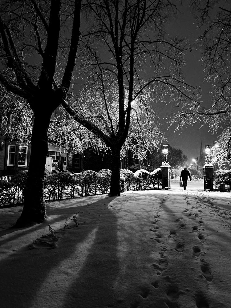 Snow scene. 
Snow laden trees and a solitary figure are backlit by streetlights. Long shadows in the foreground. 