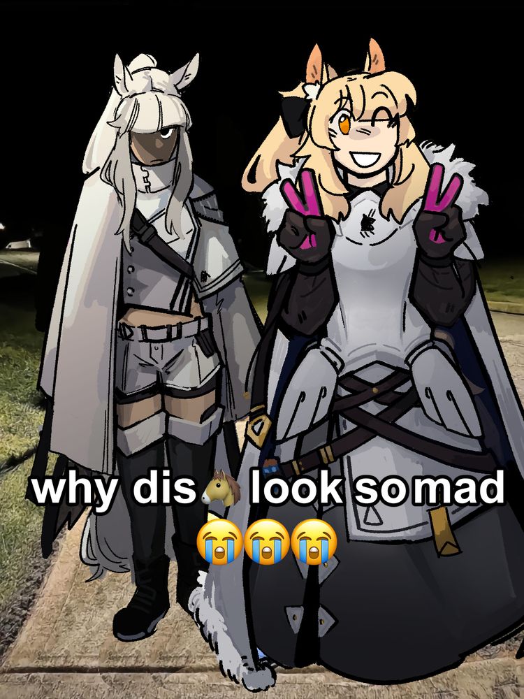 old meme back in 2024 of blemishine arknights and platinum arknights 
caption "why dis horse look so mad"