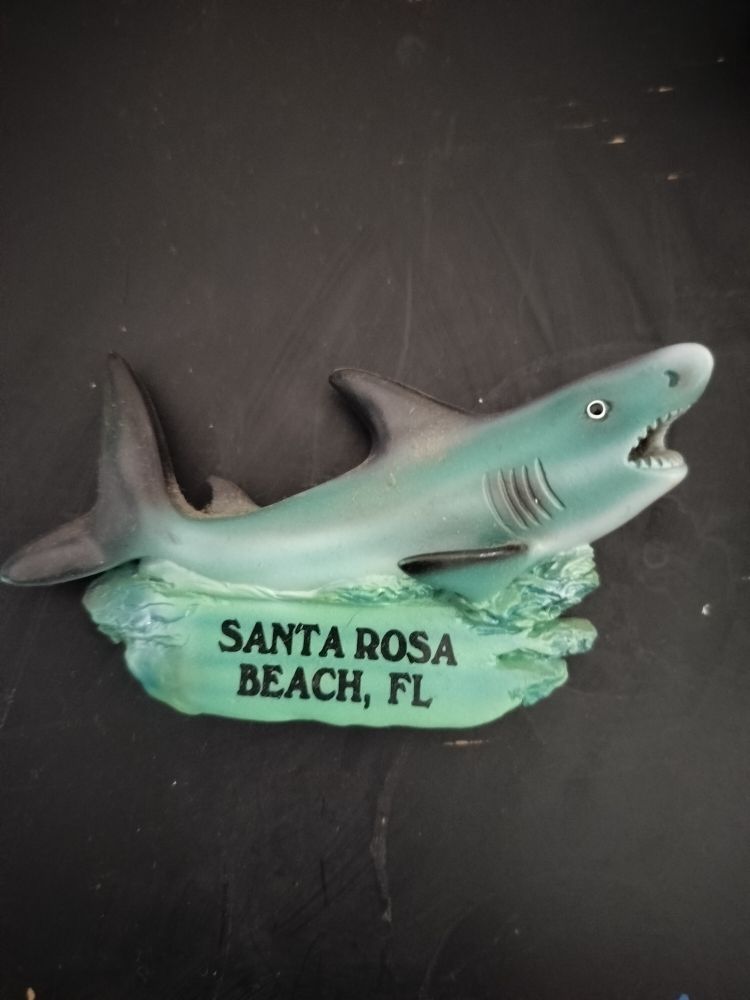 Teal and black souvenir magnet in the shape of a shark