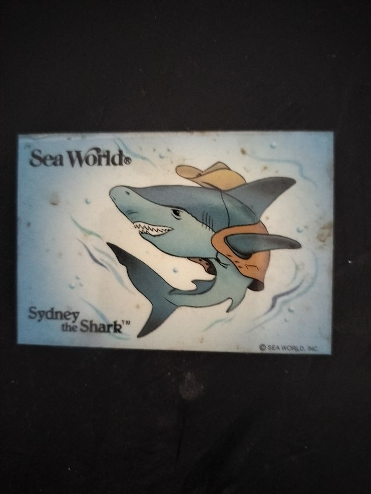 SeaWorld fridge magnet with a shark wearing a cowboy hat