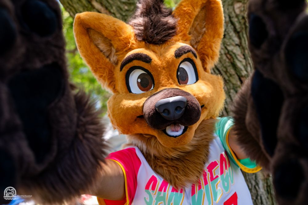 A person wearing a cartoon mascot maned wolf head and Padres City Connect jersey, arms stretched out with hand paws embracing the camera like he’s about to grasp your head (in a gentle fun way, of course)