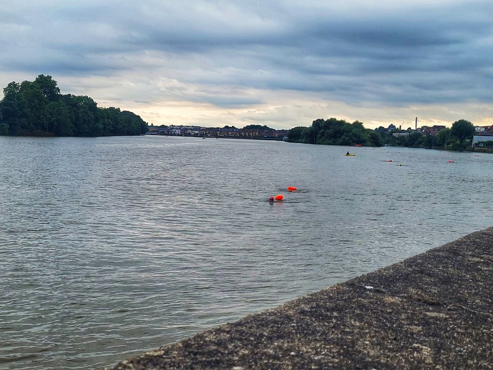 Swimmers in the Thames on a grey evening 