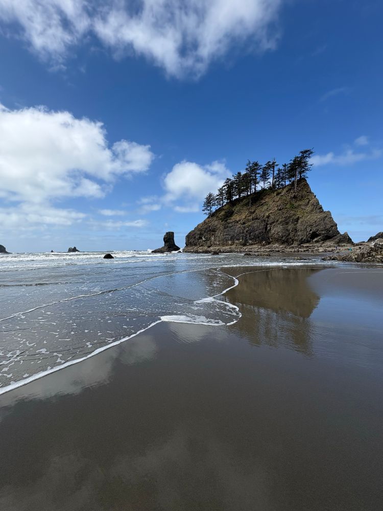 Olympic National Park beach
