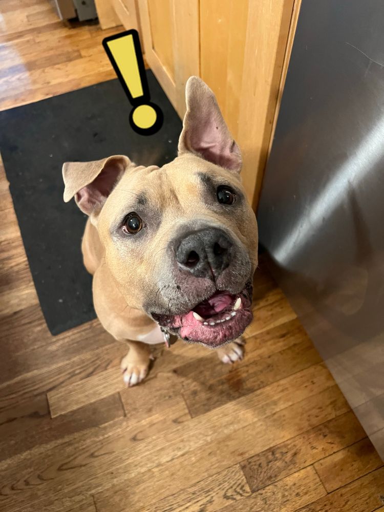 Lola from the previous image now has a helpful quest marker (a yellow exclamation point) hovering above her head.