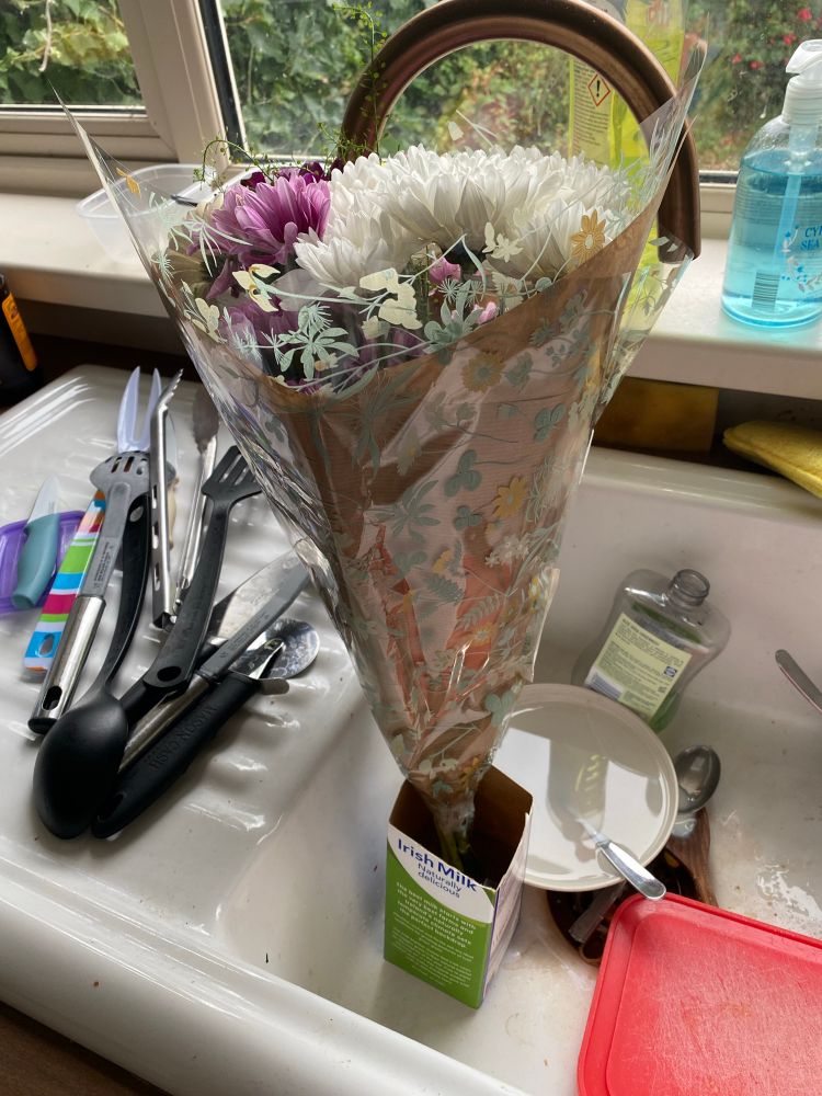 Flowers in a dirty sink, propped up in a milk carton with the top cut off. 