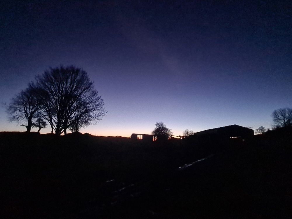 A farm building and a tree against a rising sun.