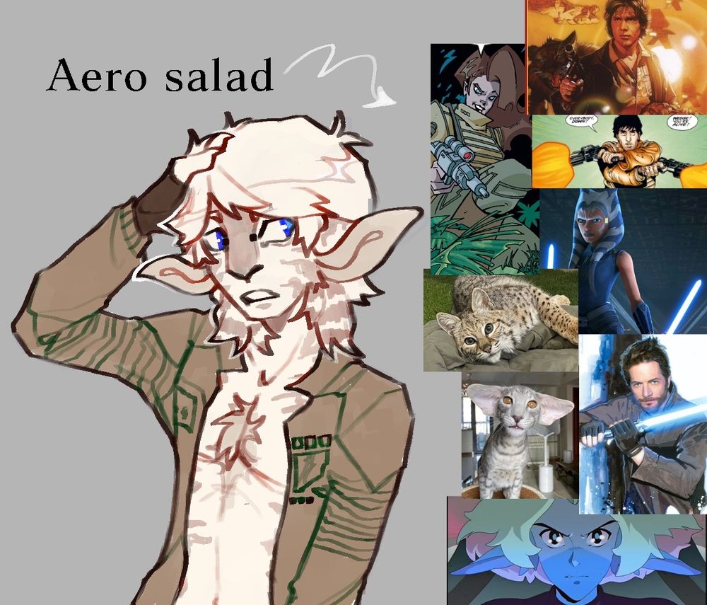 Half body sketch of Aero and to the left are different Star Wars characters along with 2 cats that were the inspiration of their design. There's text that says "Aero Salad"