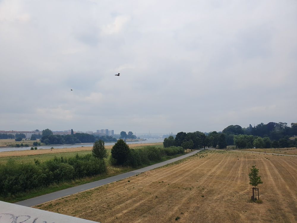 Smoke from wildfires over the city of Dresden