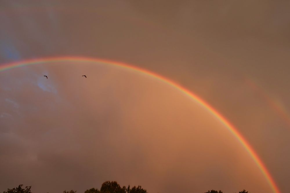 Two birds appearing to fly under the arc of a double rainbow