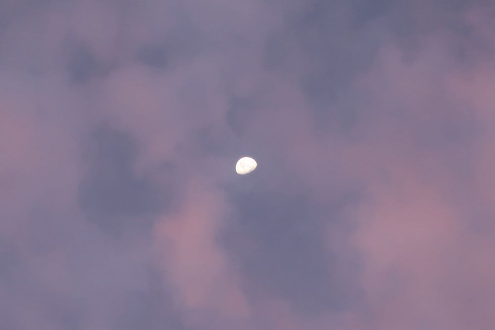 Moon behind pink clouds