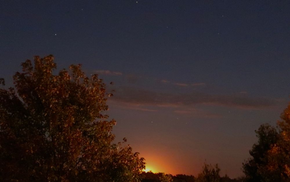 Glow of moonrise over trees on horizon, stars in sky, several wispy clouds