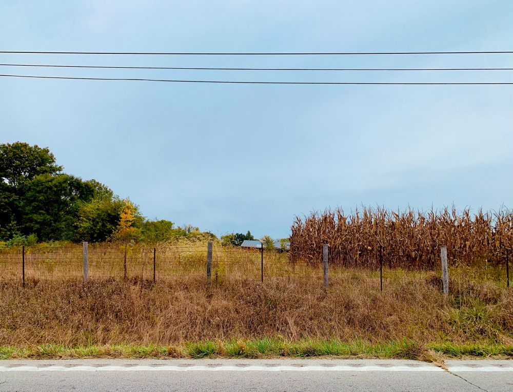 A view of the outskirts of my town as I waited at a train crossing this morning