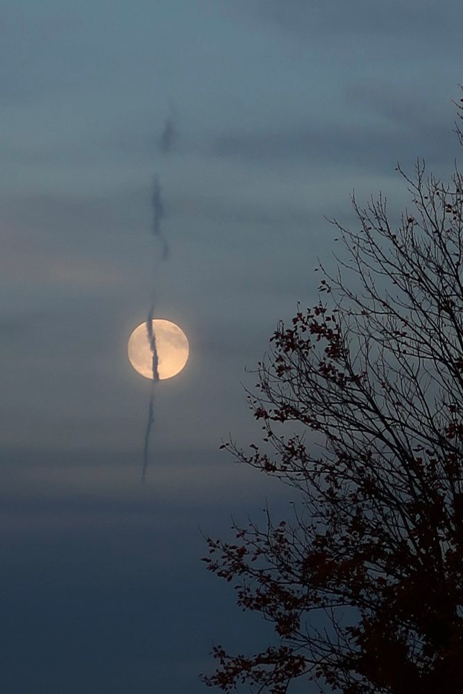 A fun capture of the Moon from earlier this month. I love that it was perfectly aligned with the silhouette of a dissipating contrail 🌕✨