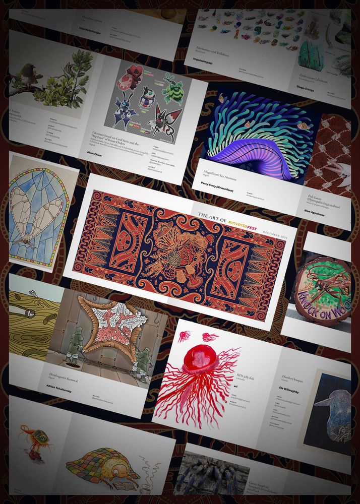 a promo image showing various pages from the book, each page showcasing different animals like a jellyfish, anemone, beetle, and so on.