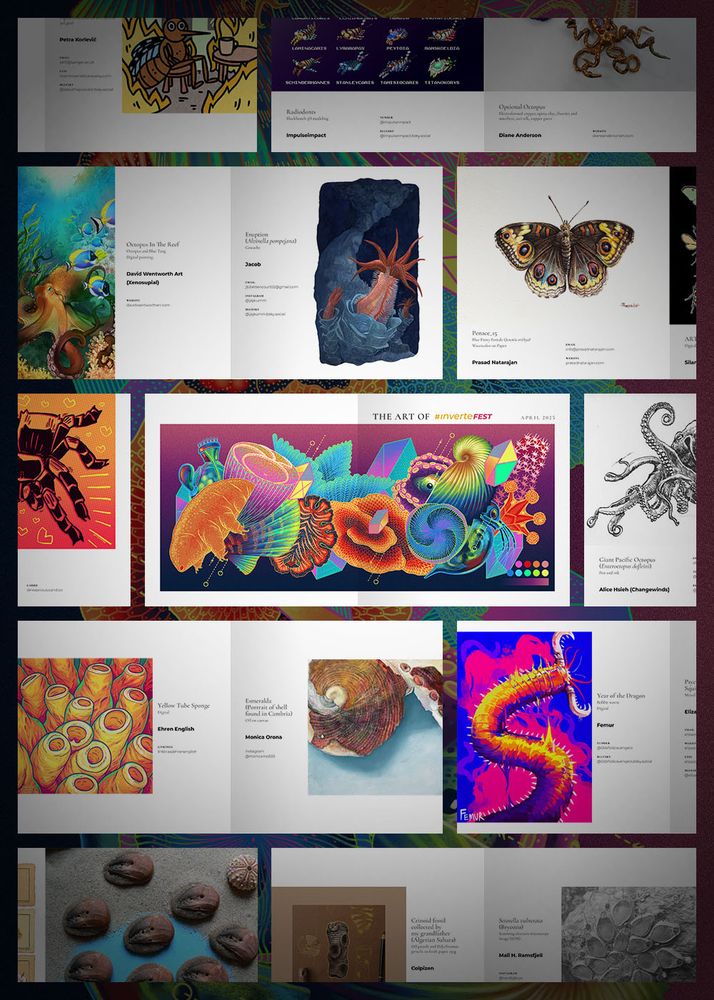 a promo image showing various pages from the book, each page showcasing different animals like a bristle worm, octopus, butterfly, and so on.