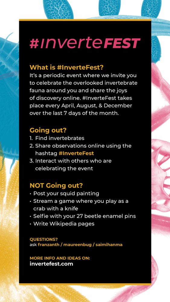 What is #InverteFest?
It's a periodic event where we invite you to celebrate the overlooked invertebrate fauna around you and share the joys of discovery online. #InverteFest takes place every April, August, & December over the last 7 days of the month.

Going out?
1. Find invertebrates
2. Share observations online using the hashtag #InverteFest
3. Interact with others who are celebrating the event

NOT Going out?
- Post your squid painting
- Stream a game where you play as a crab with a knife
- Selfie with your 27 beetle enamel pins
- Write wikipedia pages

Questions?
ask franzanth / maureenbug / saimihanma

More info and ideas on:
invertefest.com
