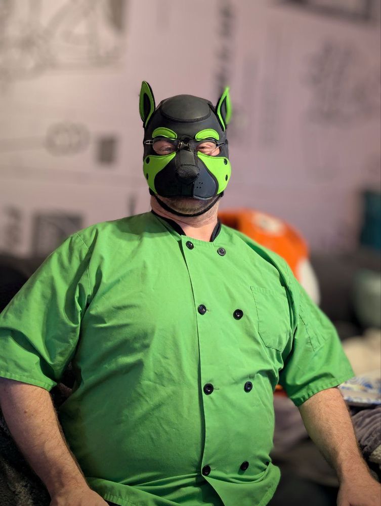 A thicc freefox wearing a green neoprene pup hood and matching green chef coat looking at the user with a blurred background 