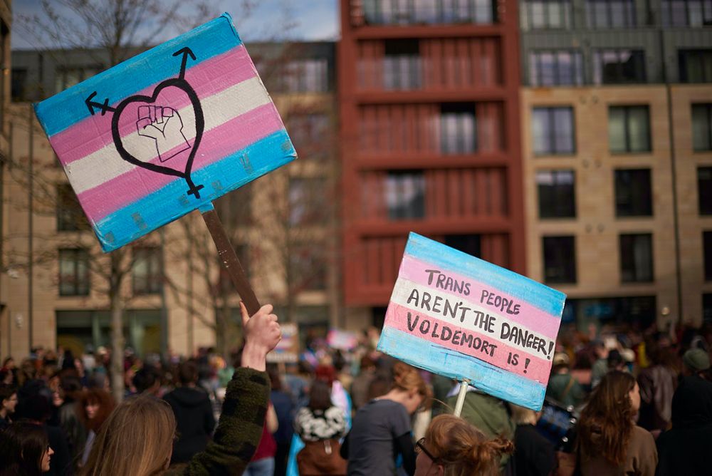 2 signs in the trans pride flag colours being held up. One with the transgender symbol in a heart shape with a first in the middle. The other with text, "Trans people aren't the danger! Voldemort is!"