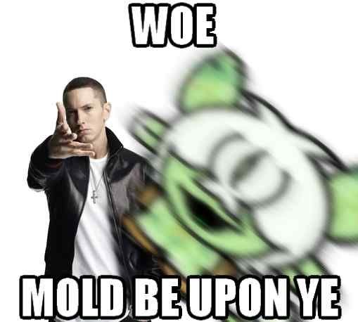A meme of Eminem throwing a green germ-like character at the camera. The text reads in impact font "Woe, mold be upon yee"