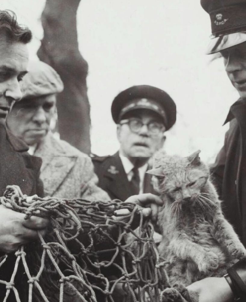 A man stand holding a net, while another man holds a wet cat