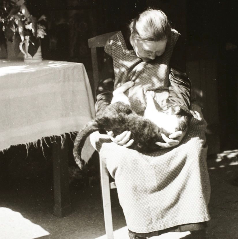 An elderly woman sits on a chair in a room next to a table, with a cat on her lap. They look at each other tenderly. The sun shines on them