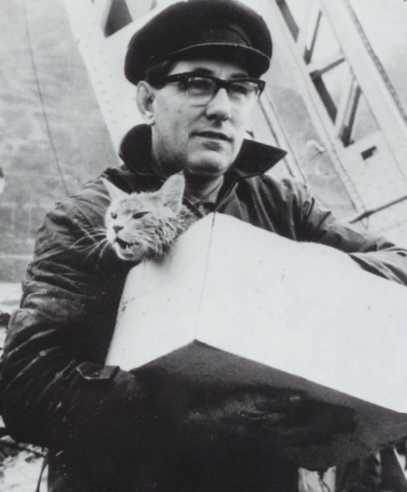 A man holds a box with a cat in it. The cat appears upset.