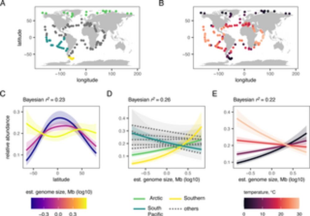 Diatom abundance in the polar oceans is predicted by genome size