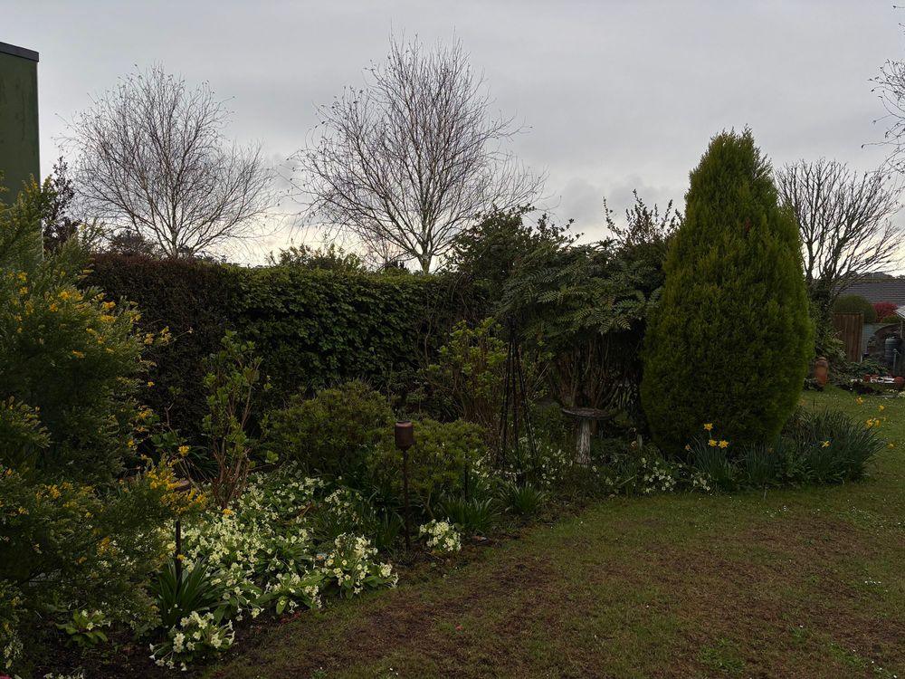 A view across a garden with grey skies and a band of brighter weather in the distance. Cream coloured primroses can be seen in the border. 