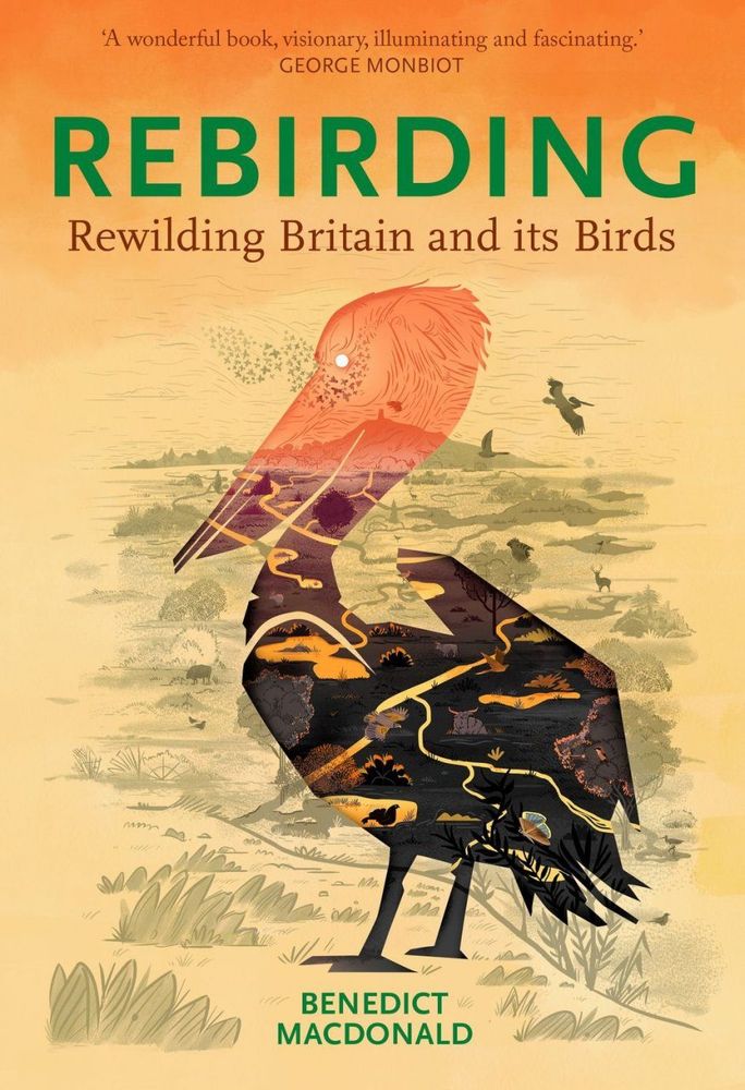 Cover of Rebirding: Rewilding Britain and it Birds