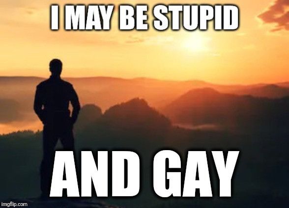 dramatic photo of the silhouette of a man looking out at a sunset. in large bold text, it says “i may be stupid and gay”