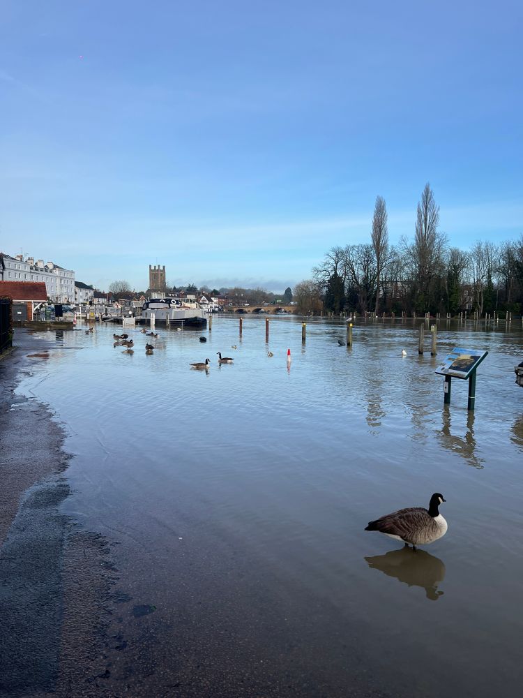 Henley flooded